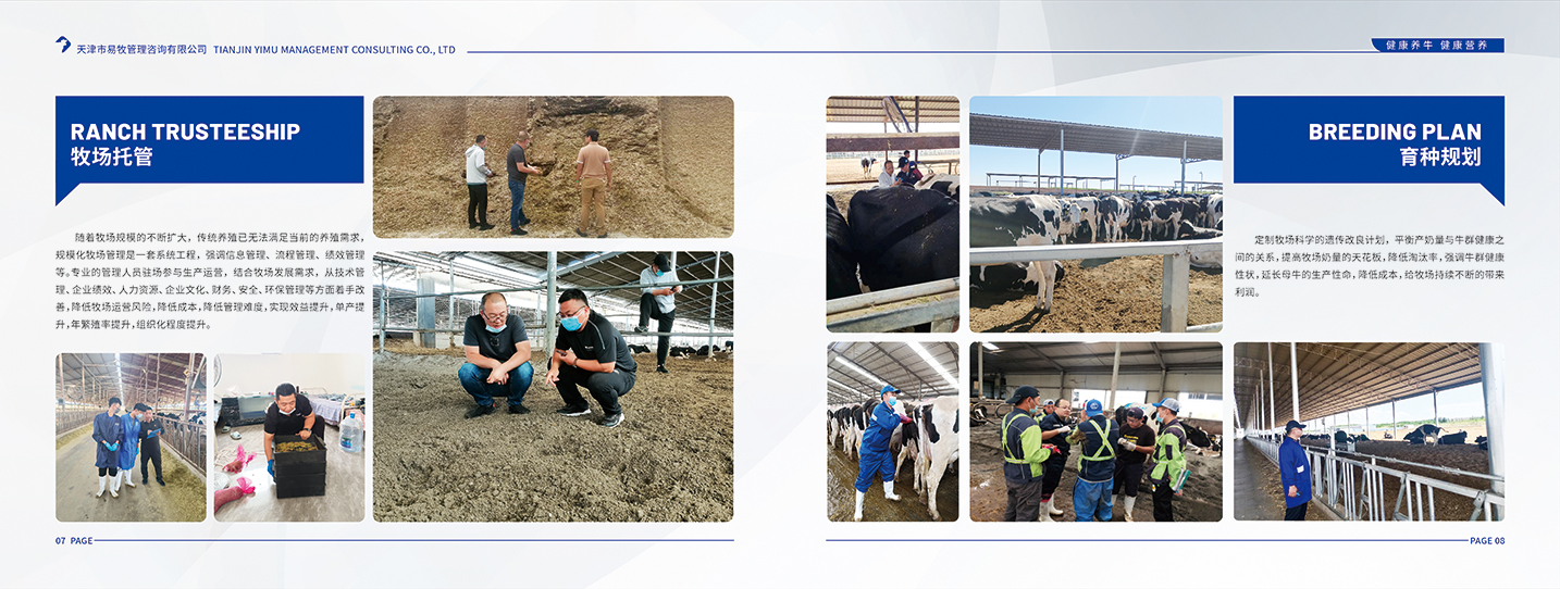 天津宣传册设计