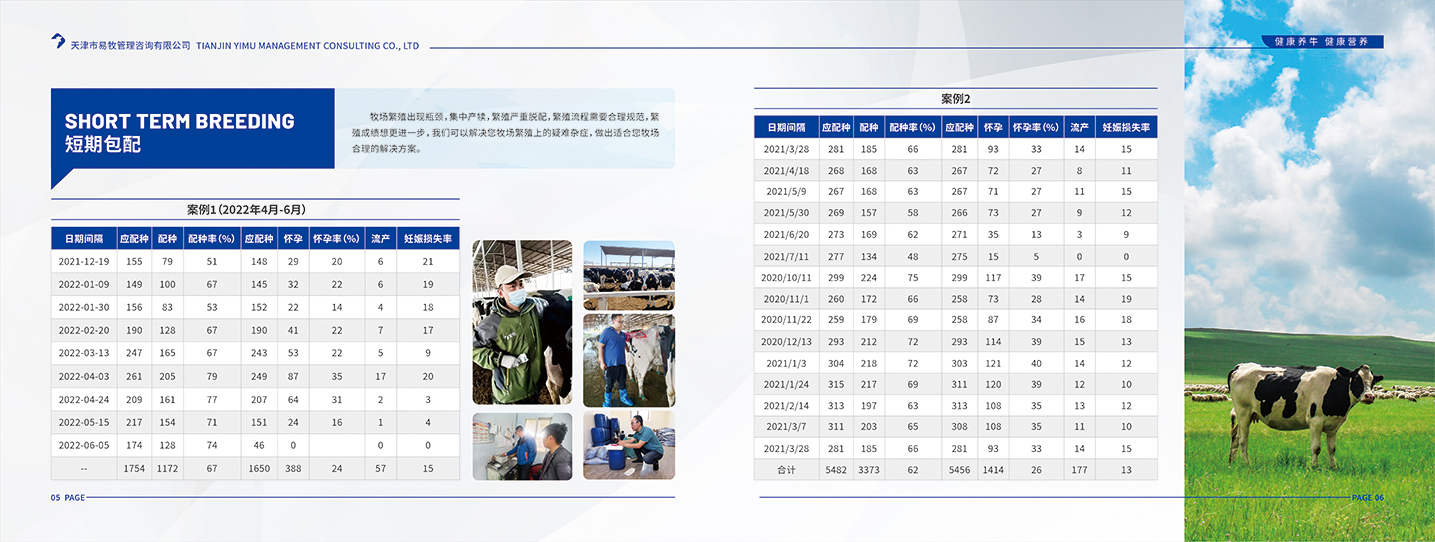 天津宣传册设计